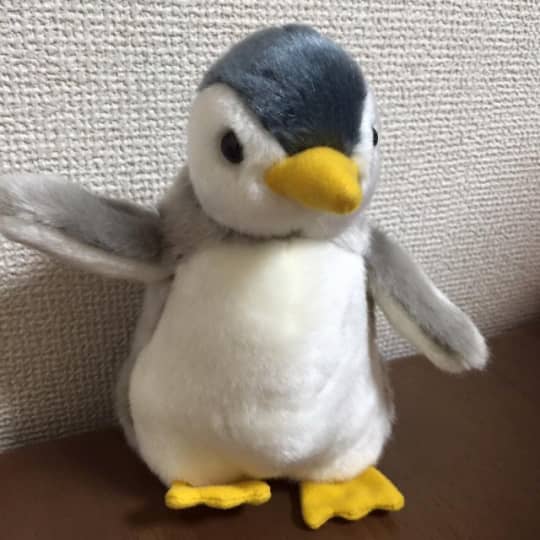 ペンギン