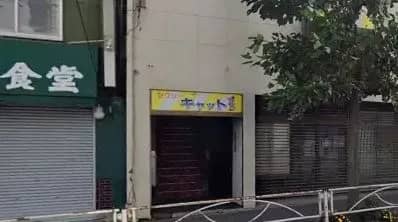 セクシーキャット