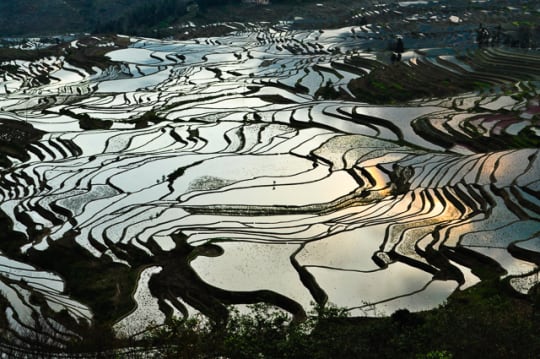 世界の絶景　元陽の棚田（中国）