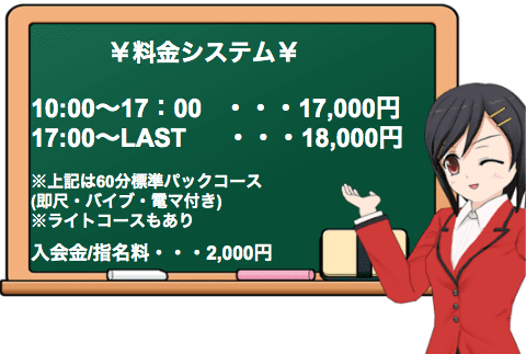 大人めシンデレラの料金表