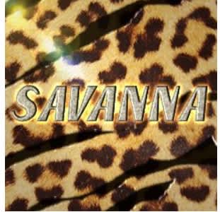 Sabanna　TOP