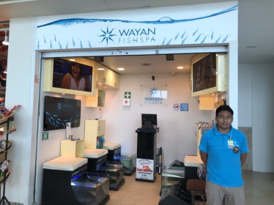 WAYAN fish spa