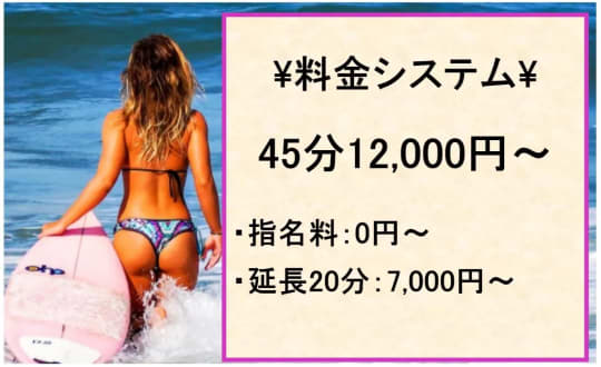 乱入痴女倶楽部の料金システム