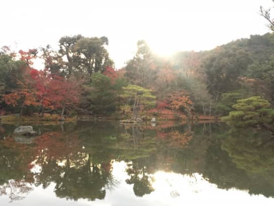 池に映る紅葉