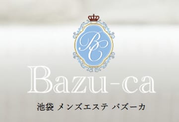 https://www.bazu-ca.com/