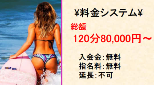 ヴェルサイユの料金システム