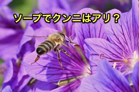 ソープ　クンニ　まんこ