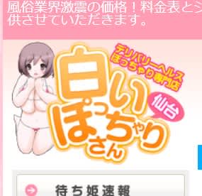 白いぽっちゃりさん仙台店