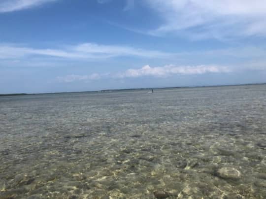 海