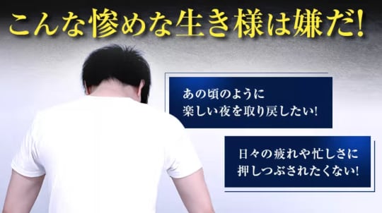 公式通販サイトの画像