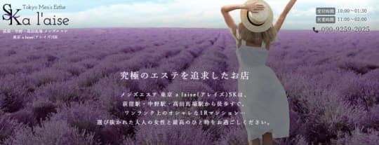 a laise(アレイズ)SKのトップページ画像