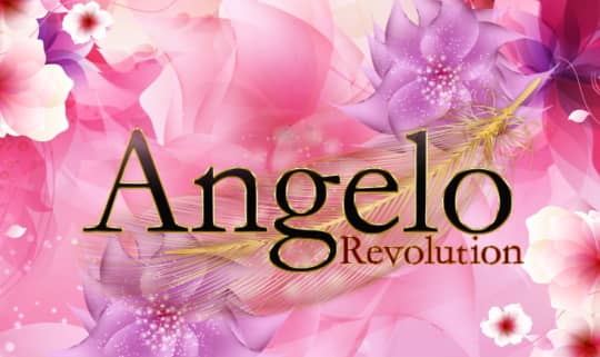 Angelo revolution