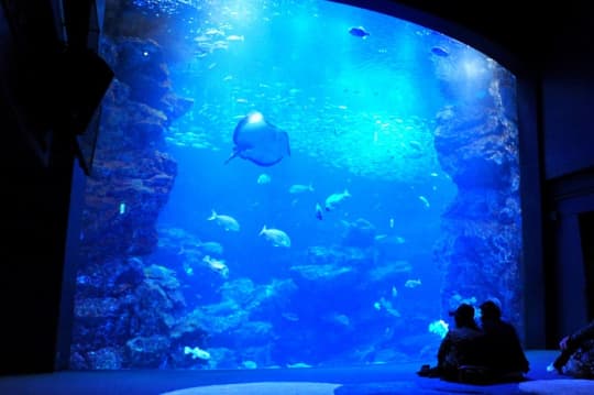 京都水族館