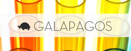 https://bar-galapagos.com/html/system.html