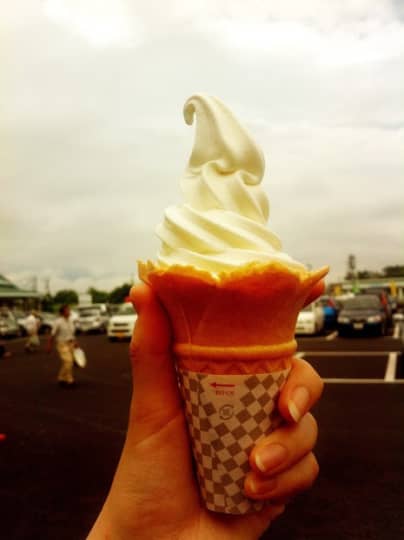 道の駅とよとみ シルクソフト