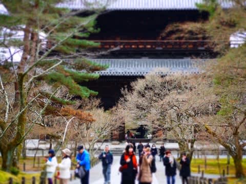 南禅寺の山門