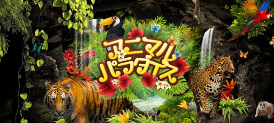 アニマルパラダイス
