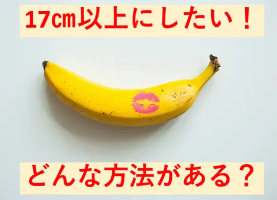 ちんこ 17cm