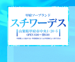 スチワーデス