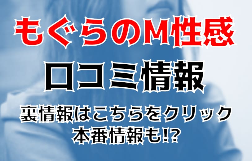 記事のサムネイル
