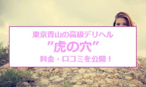 記事のサムネイル