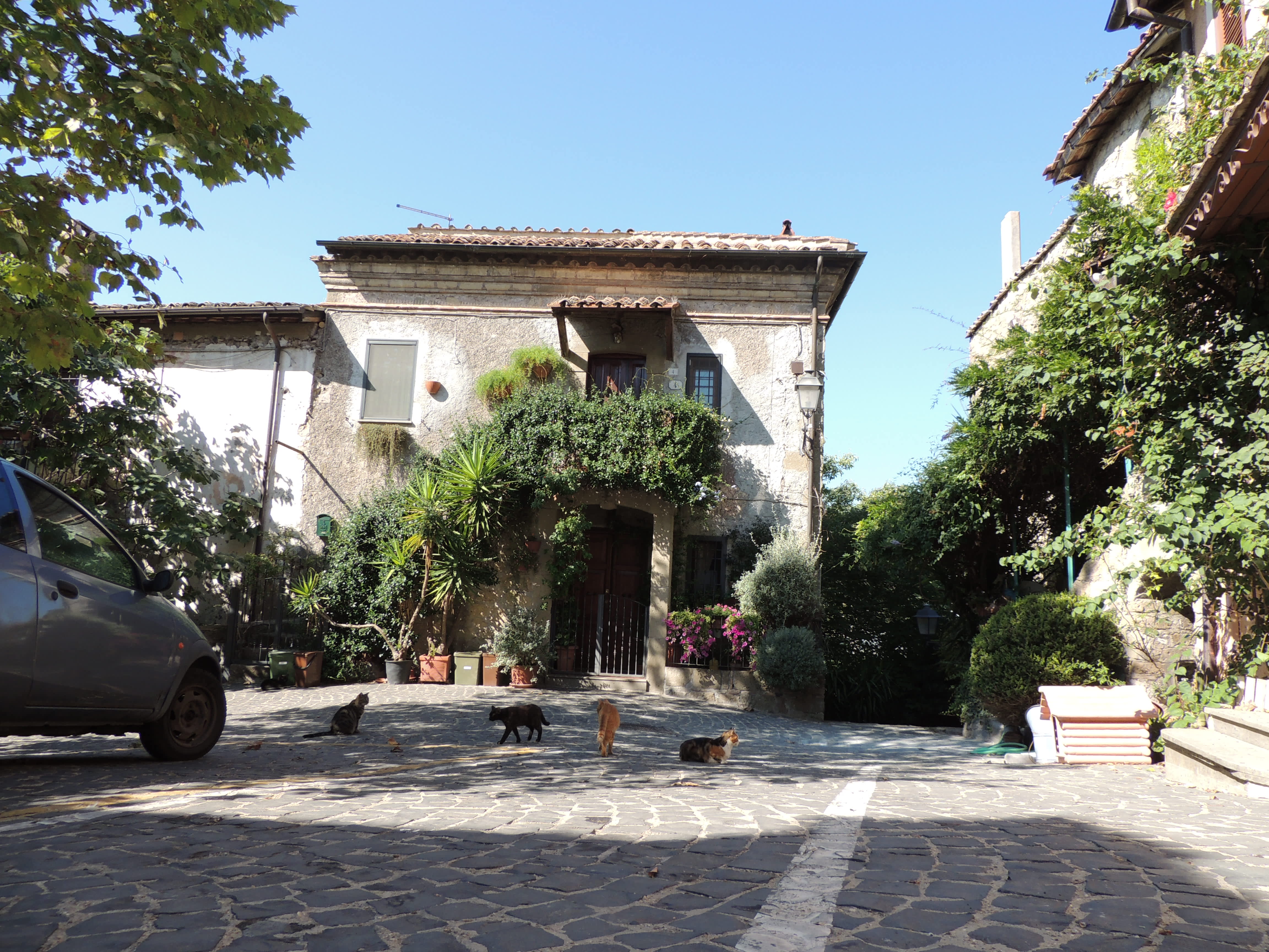 記事のサムネイル