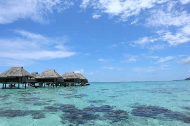 記事のサムネイル