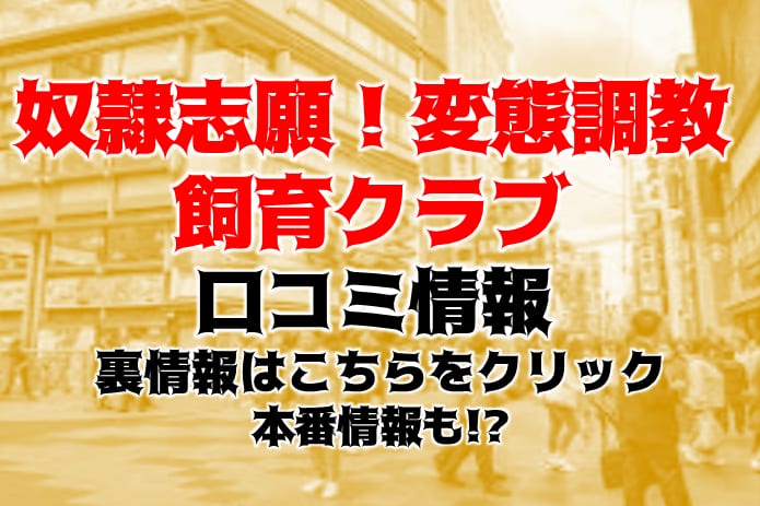 記事のサムネイル