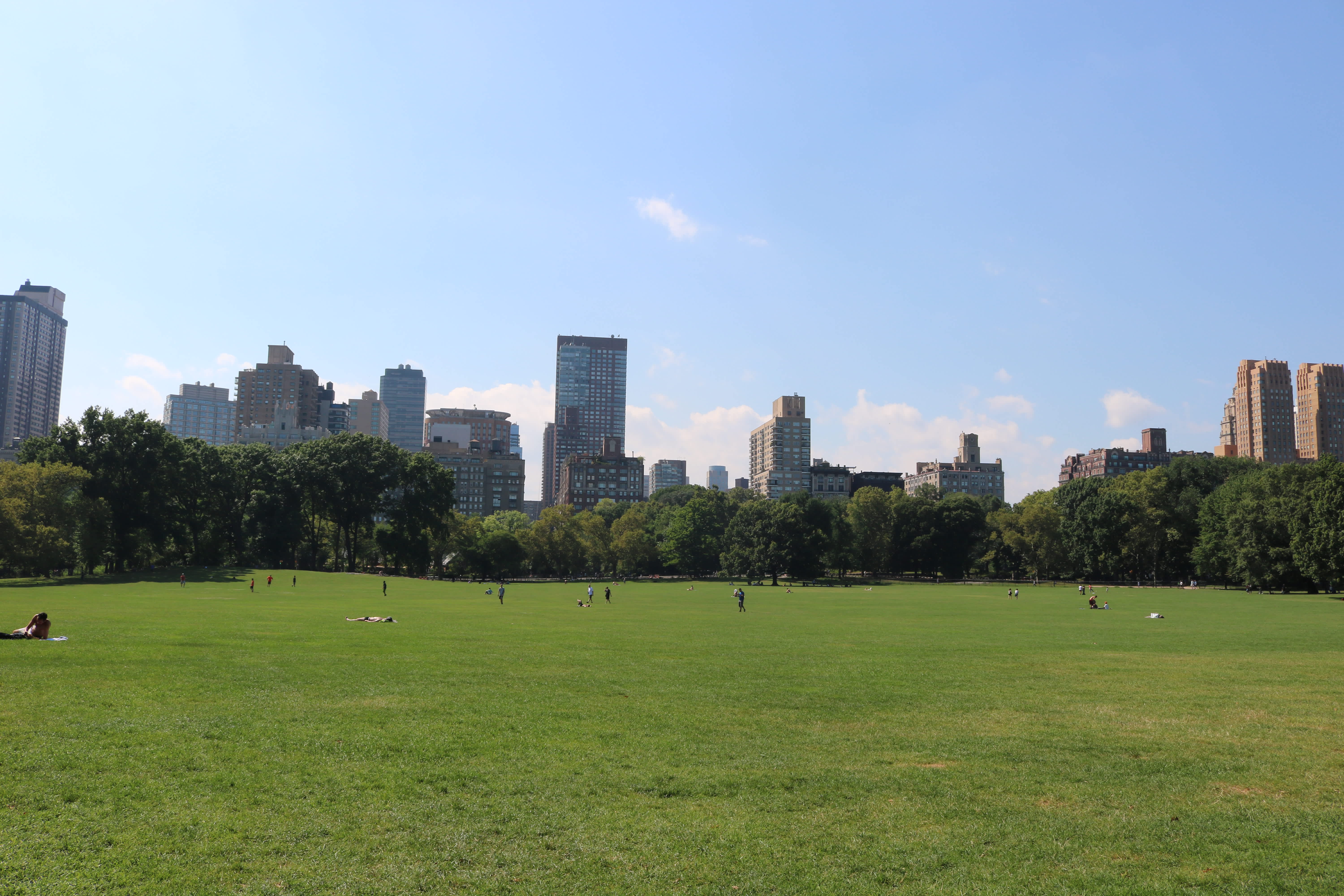 記事のサムネイル