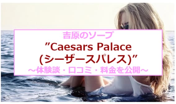 記事のサムネイル