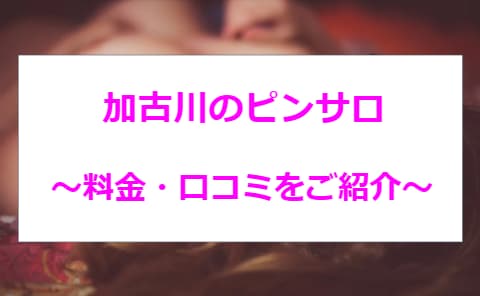 記事のサムネイル