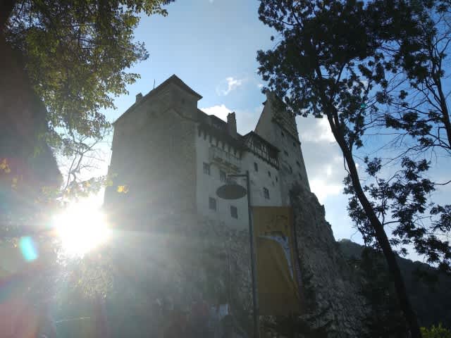 記事のサムネイル