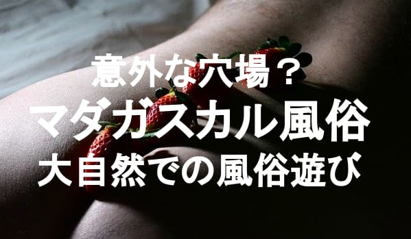 記事のサムネイル