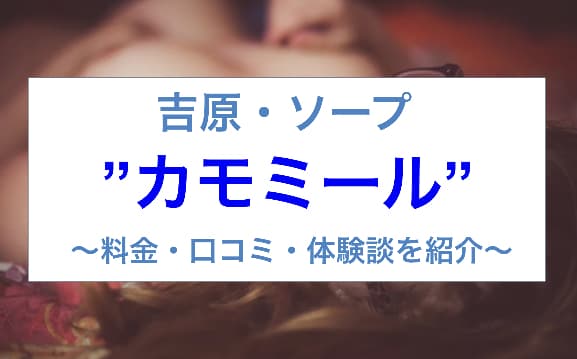 記事のサムネイル