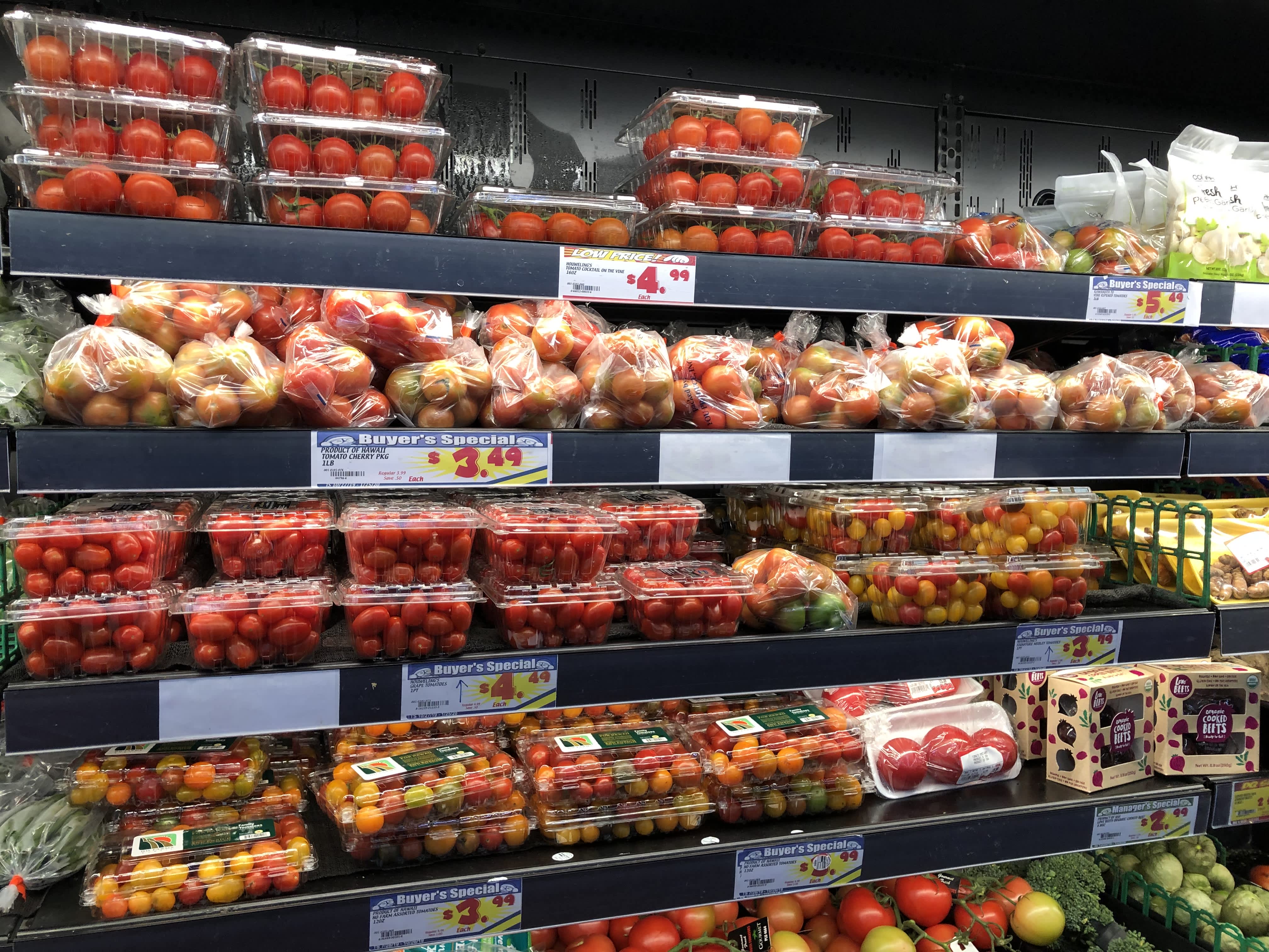 記事のサムネイル