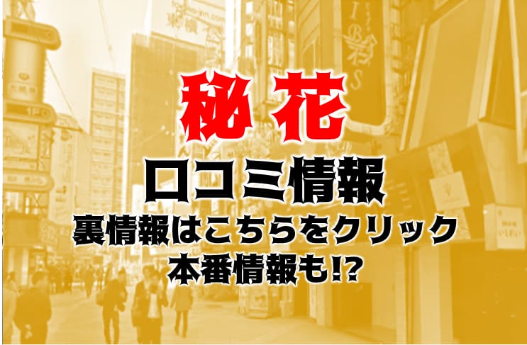 記事のサムネイル