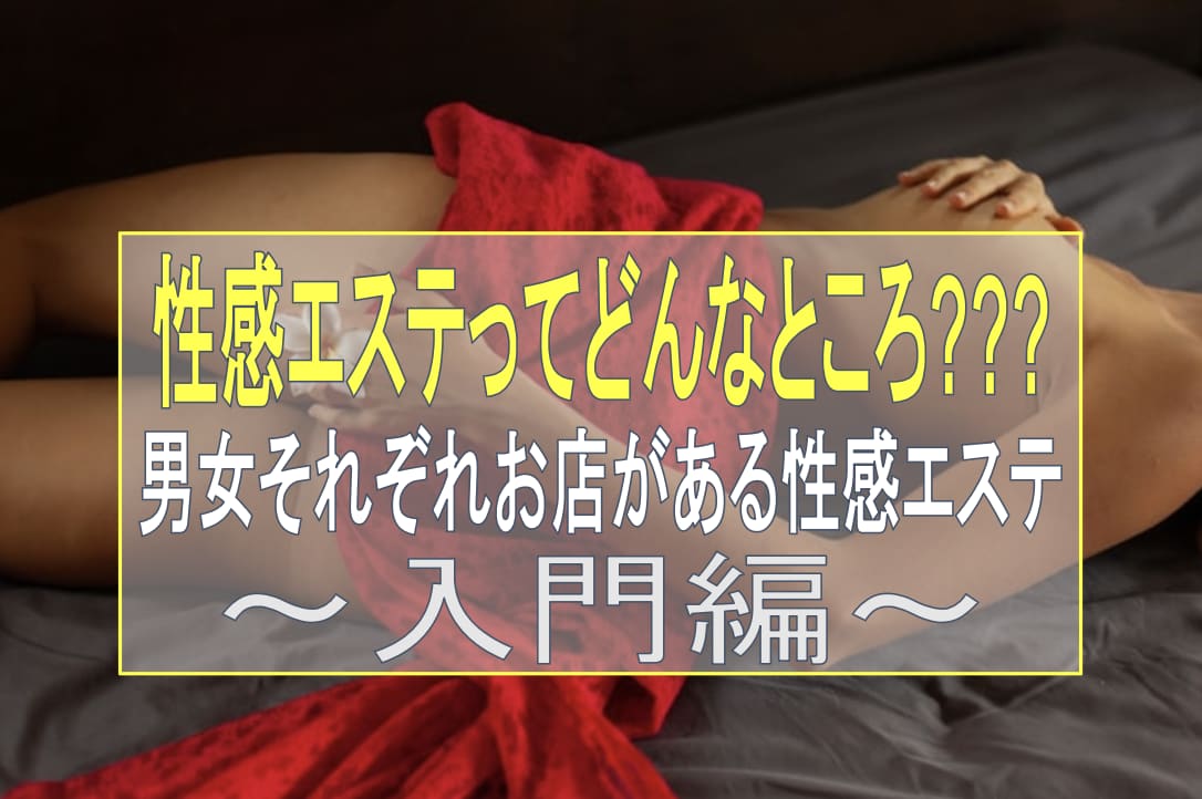 記事のサムネイル
