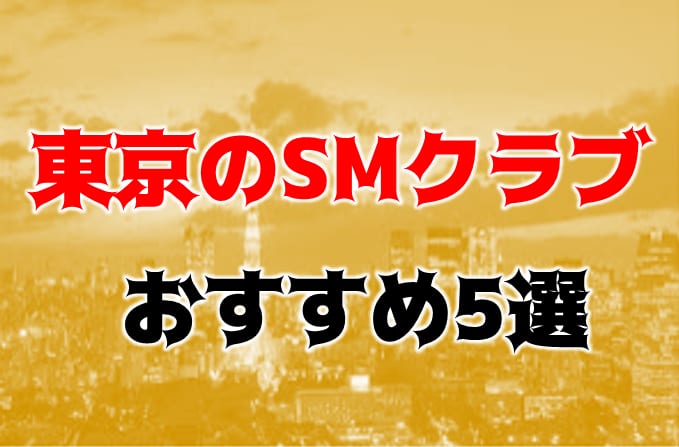 記事のサムネイル