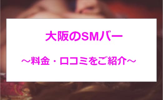 記事のサムネイル