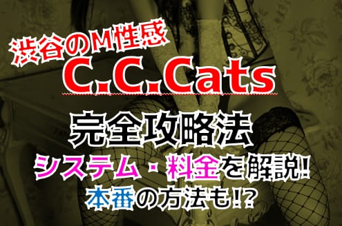 記事のサムネイル