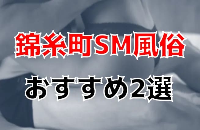 記事のサムネイル