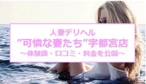 記事のサムネイル