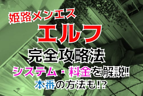 記事のサムネイル