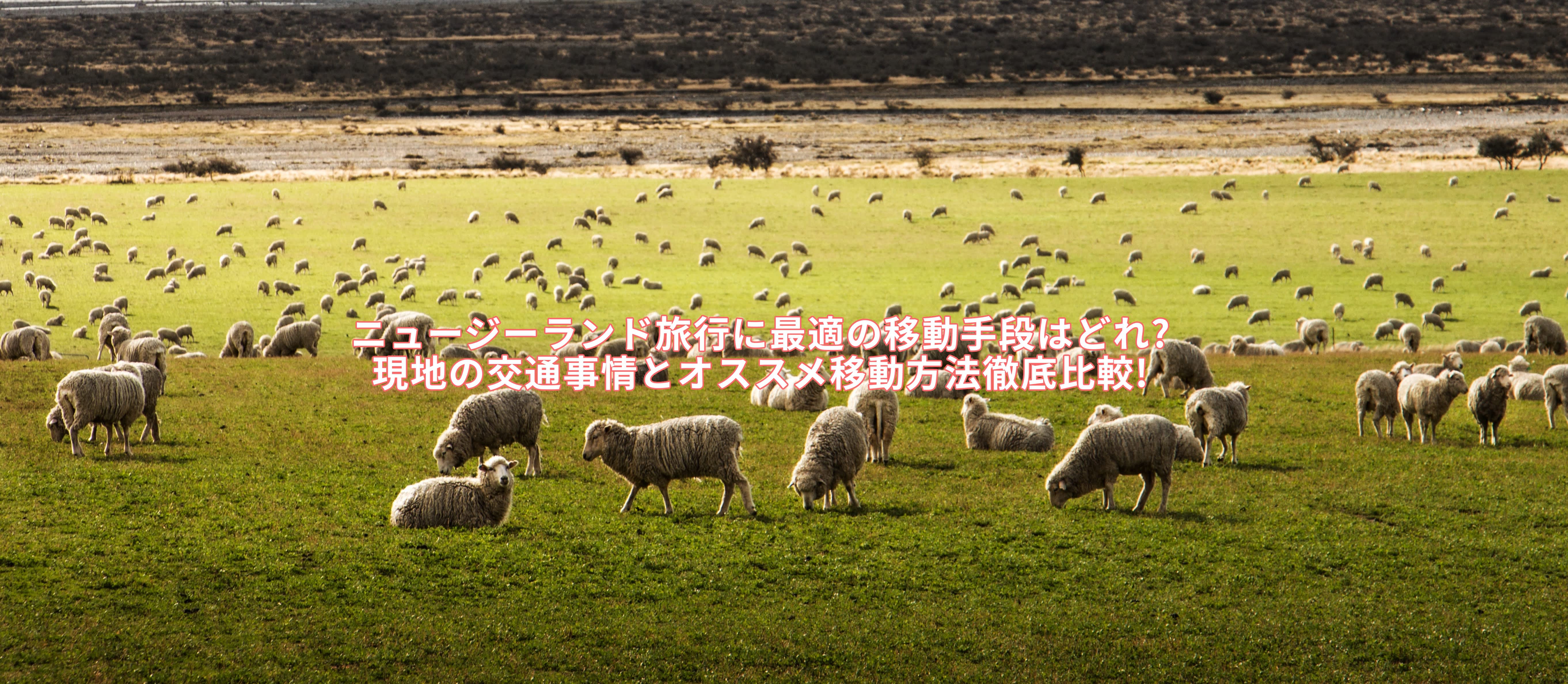 記事のサムネイル