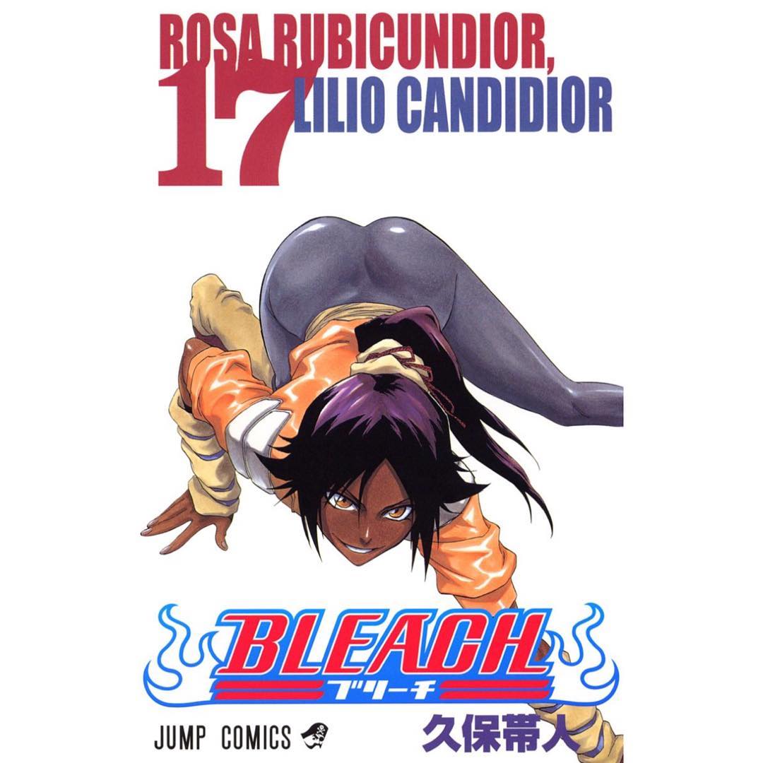 Bleach 四楓院夜一の卍解 斬魄刀の正体に迫る 浦原や砕蜂との関係 弟がいるって本当