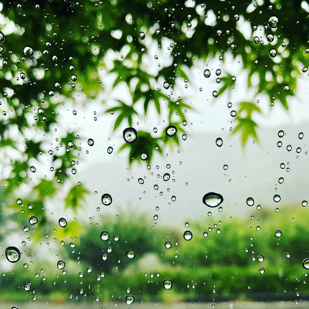 静岡観光 雨の日でも大丈夫 屋内で遊べるおすすめスポット9選