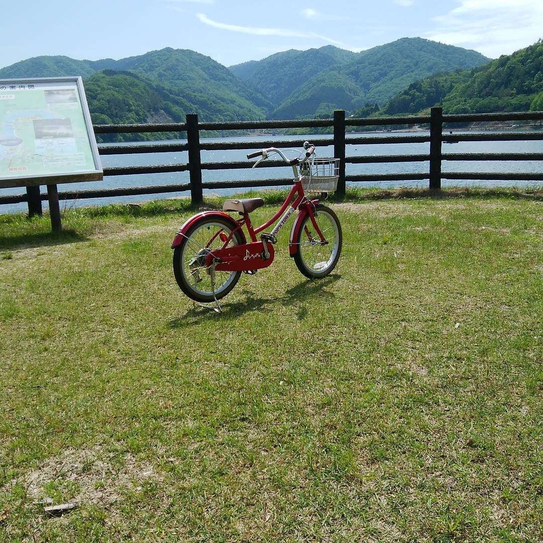 自転車 大人 練習