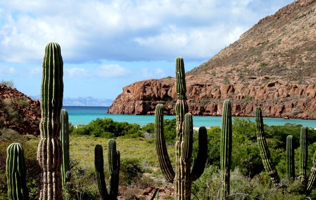 メキシコ旅行を考えている人へ これだけは知っておきたい9点