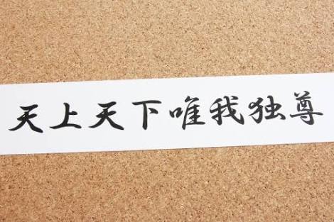 面白い四字熟語 ことわざ25選 座右の銘にも使えてネタになる言葉