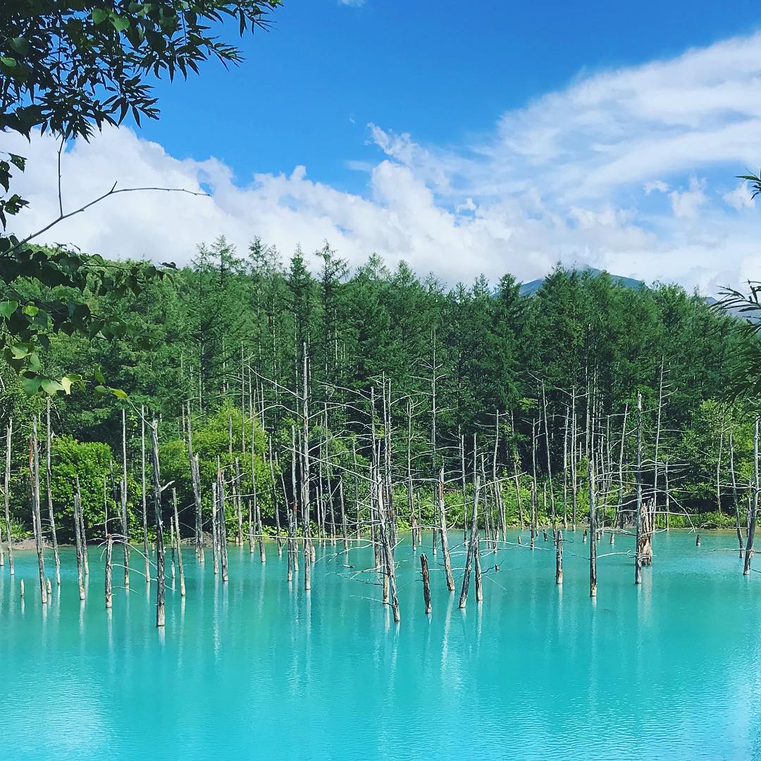 北海道の絶景青い池 なぜ青いの 雨でも綺麗 アクセスなども解説 18年
